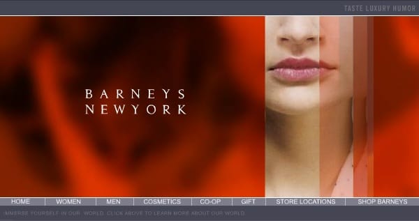 The Barneys site